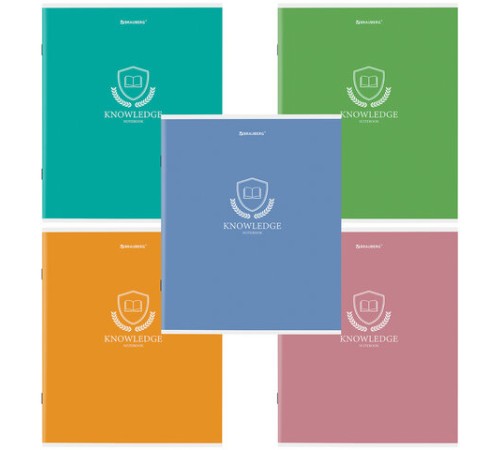 Тетрадь А5, 80 л., BRAUBERG, скоба, клетка, обложка картон, 