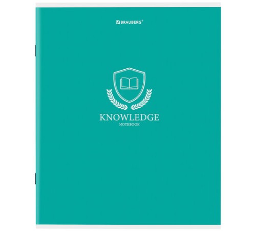 Тетрадь А5, 80 л., BRAUBERG, скоба, клетка, обложка картон, 