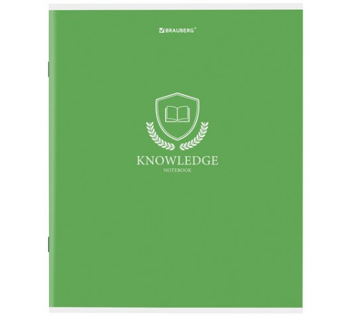 Тетрадь А5, 80 л., BRAUBERG, скоба, клетка, обложка картон, 