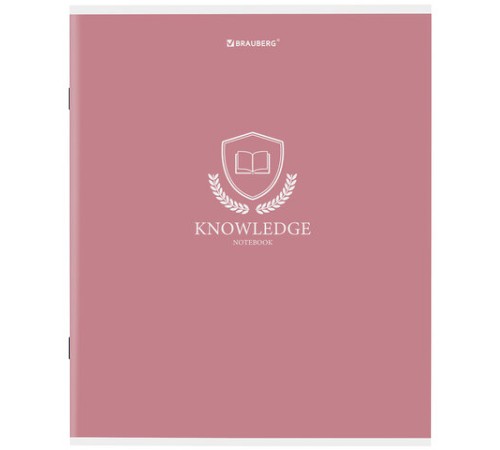 Тетрадь А5, 80 л., BRAUBERG, скоба, клетка, обложка картон, 