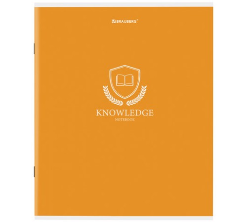 Тетрадь А5, 80 л., BRAUBERG, скоба, клетка, обложка картон, 