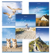 Тетрадь А5, 80 л., BRAUBERG, скоба, клетка, обложка картон, 