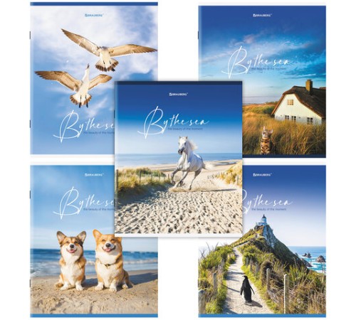 Тетрадь А5, 80 л., BRAUBERG, скоба, клетка, обложка картон, 