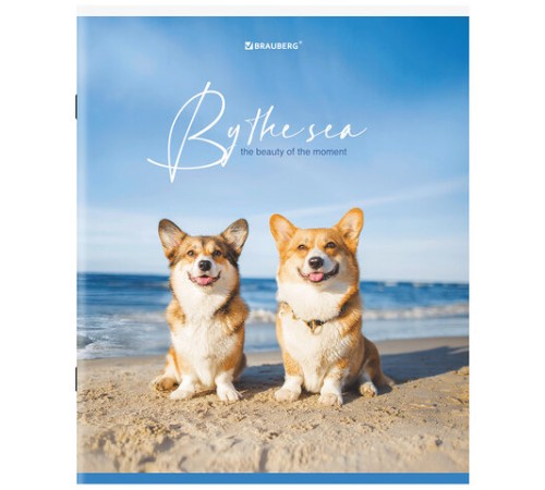 Тетрадь А5, 80 л., BRAUBERG, скоба, клетка, обложка картон, 