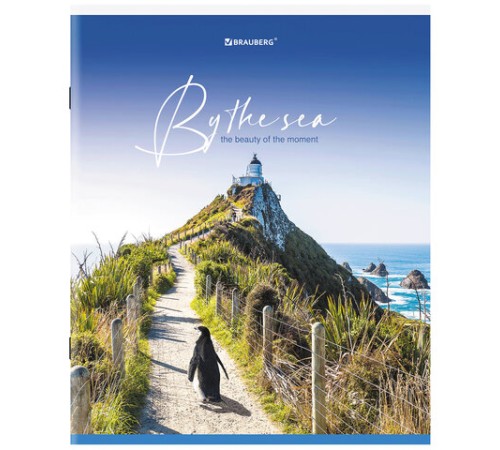 Тетрадь А5, 80 л., BRAUBERG, скоба, клетка, обложка картон, 