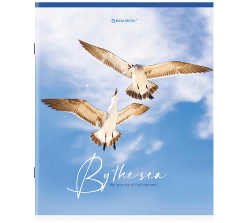 Тетрадь А5, 80 л., BRAUBERG, скоба, клетка, обложка картон, 