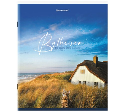 Тетрадь А5, 80 л., BRAUBERG, скоба, клетка, обложка картон, 