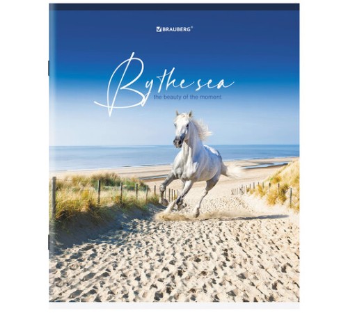 Тетрадь А5, 80 л., BRAUBERG, скоба, клетка, обложка картон, 