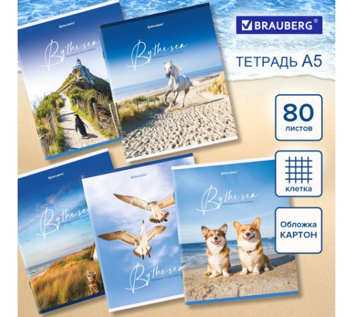 Тетрадь А5, 80 л., BRAUBERG, скоба, клетка, обложка картон, 