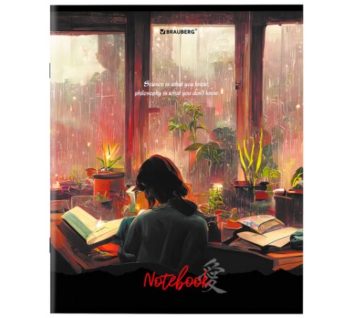 Тетрадь А5, 80 л., BRAUBERG, скоба, клетка, обложка картон, 