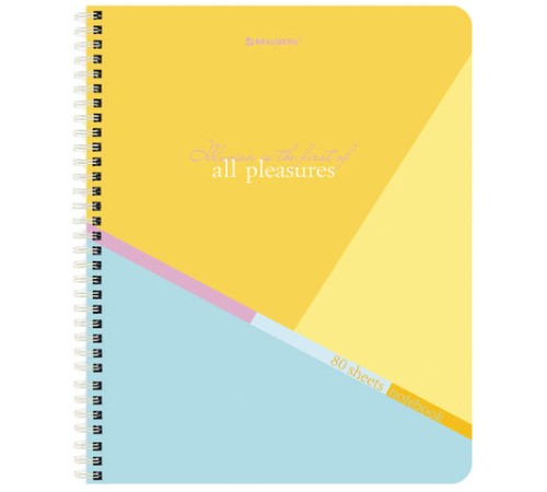 Тетрадь А5 80 л. BRAUBERG, гребень, клетка, обложка картон, 