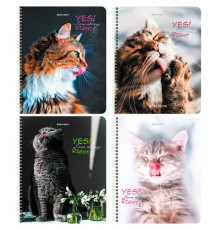 Тетрадь А5 80 л. BRAUBERG, гребень, клетка, глянцевая ламинация, 