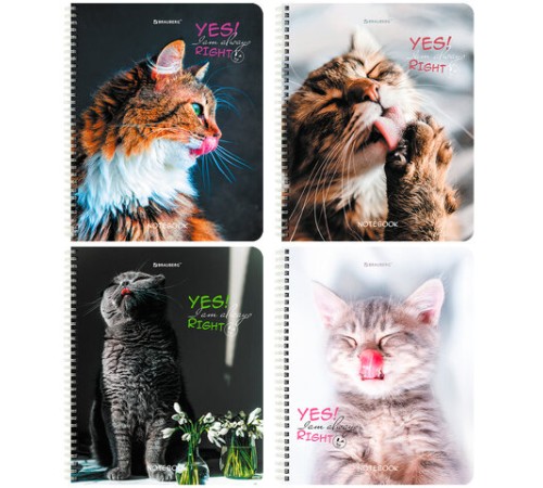 Тетрадь А5 80 л. BRAUBERG, гребень, клетка, глянцевая ламинация, 