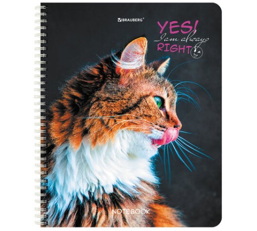 Тетрадь А5 80 л. BRAUBERG, гребень, клетка, глянцевая ламинация, 