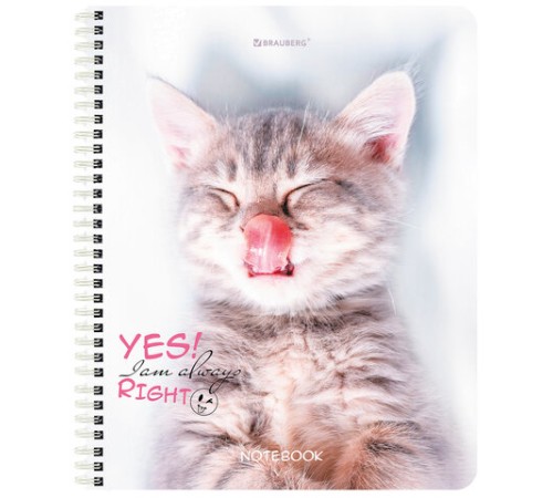 Тетрадь А5 80 л. BRAUBERG, гребень, клетка, глянцевая ламинация, 