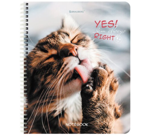 Тетрадь А5 80 л. BRAUBERG, гребень, клетка, глянцевая ламинация, 