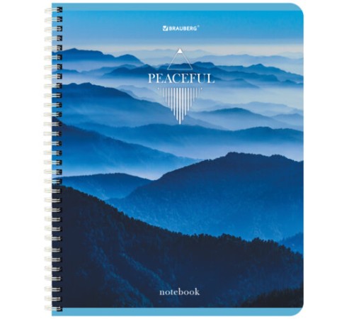 Тетрадь А5 96 л. BRAUBERG, гребень, клетка, обложка картон, 