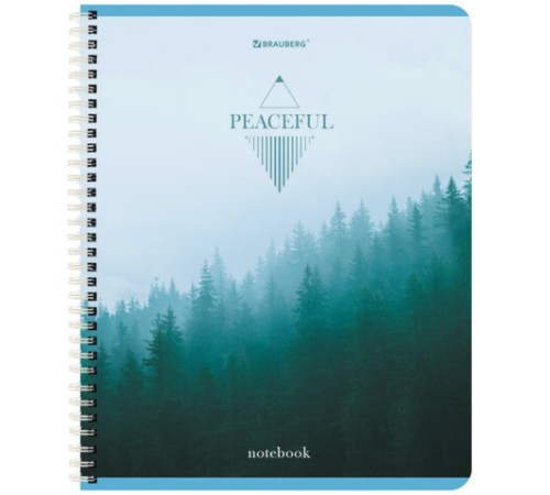 Тетрадь А5 96 л. BRAUBERG, гребень, клетка, обложка картон, 