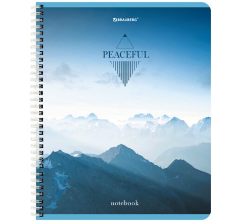 Тетрадь А5 96 л. BRAUBERG, гребень, клетка, обложка картон, 