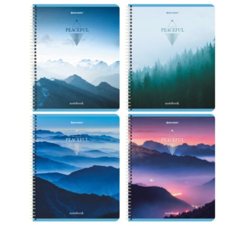 Тетрадь А5 96 л. BRAUBERG, гребень, клетка, обложка картон, 