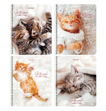 Тетрадь А5, 96 л., BRAUBERG, гребень, клетка, обложка картон, 