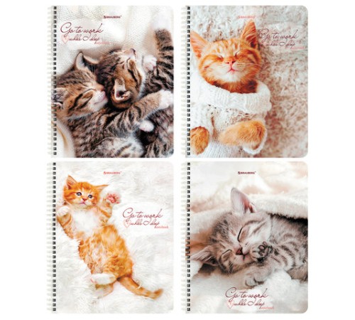 Тетрадь А5, 96 л., BRAUBERG, гребень, клетка, обложка картон, 