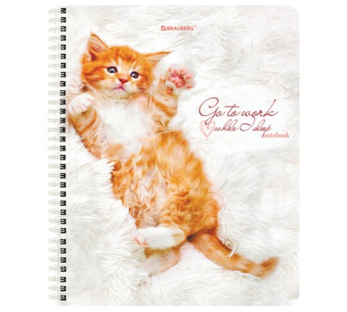 Тетрадь А5, 96 л., BRAUBERG, гребень, клетка, обложка картон, 