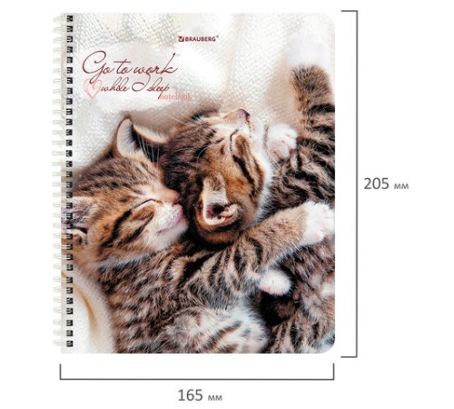 Тетрадь А5, 96 л., BRAUBERG, гребень, клетка, обложка картон, 