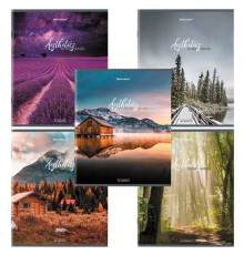 Тетрадь А5, 96 л., BRAUBERG, скоба, клетка, глянцевая ламинация, 