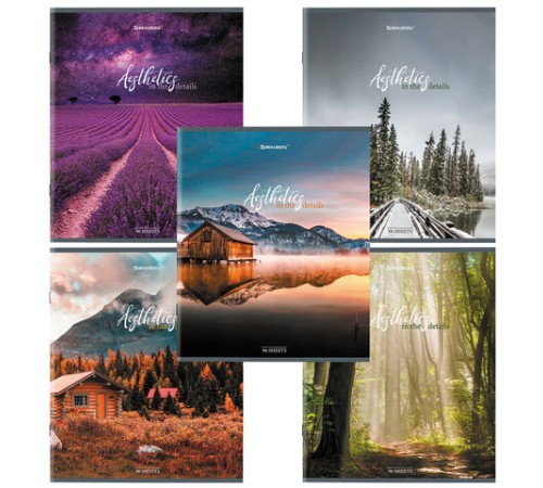 Тетрадь А5, 96 л., BRAUBERG, скоба, клетка, глянцевая ламинация, 