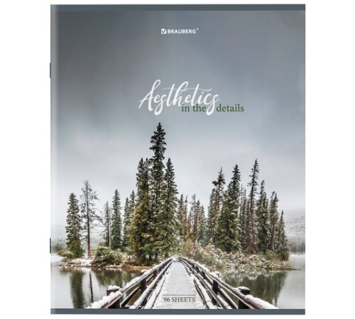 Тетрадь А5, 96 л., BRAUBERG, скоба, клетка, глянцевая ламинация, 