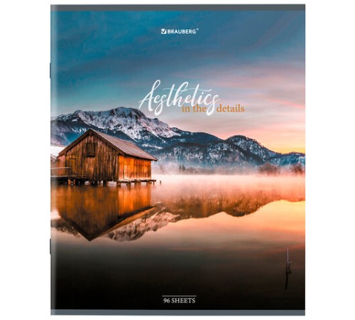 Тетрадь А5, 96 л., BRAUBERG, скоба, клетка, глянцевая ламинация, 