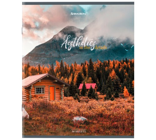 Тетрадь А5, 96 л., BRAUBERG, скоба, клетка, глянцевая ламинация, 