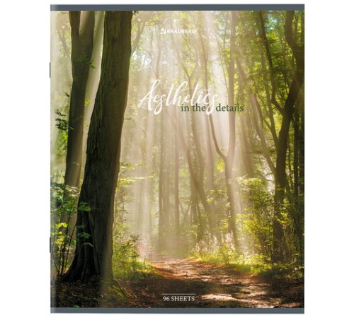 Тетрадь А5, 96 л., BRAUBERG, скоба, клетка, глянцевая ламинация, 