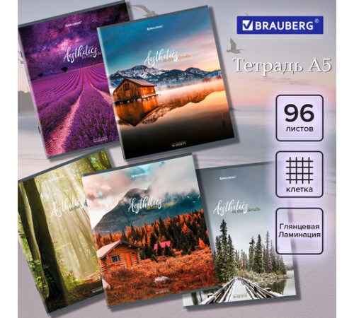 Тетрадь А5, 96 л., BRAUBERG, скоба, клетка, глянцевая ламинация, 
