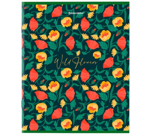 Тетрадь А5, 96 л., BRAUBERG, скоба, клетка, глянцевая ламинация, 