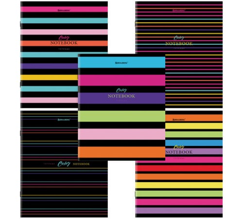 Тетрадь А5, 96 л., BRAUBERG, скоба, клетка, глянцевая ламинация, 