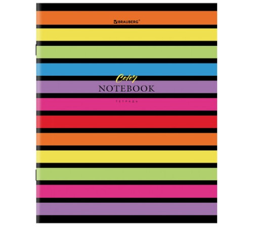 Тетрадь А5, 96 л., BRAUBERG, скоба, клетка, глянцевая ламинация, 