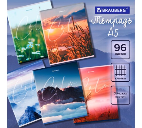 Тетрадь А5 96 л. BRAUBERG скоба, клетка, обложка картон, 