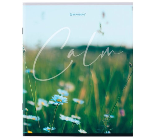 Тетрадь А5 96 л. BRAUBERG скоба, клетка, обложка картон, 