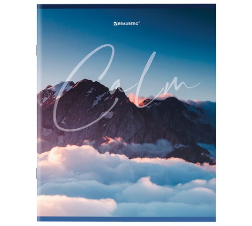 Тетрадь А5 96 л. BRAUBERG скоба, клетка, обложка картон, 