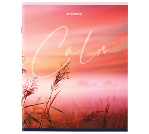 Тетрадь А5 96 л. BRAUBERG скоба, клетка, обложка картон, 