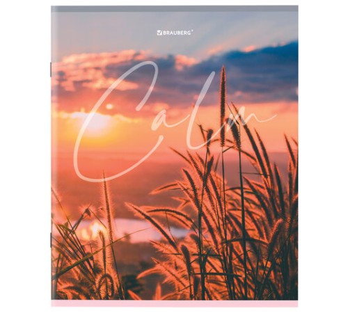 Тетрадь А5 96 л. BRAUBERG скоба, клетка, обложка картон, 