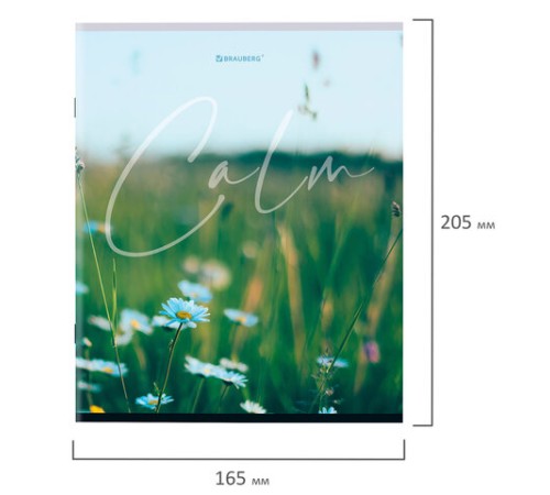 Тетрадь А5 96 л. BRAUBERG скоба, клетка, обложка картон, 