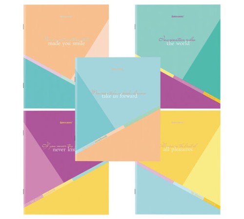 Тетрадь А5 96 л. BRAUBERG скоба, клетка, обложка картон, 