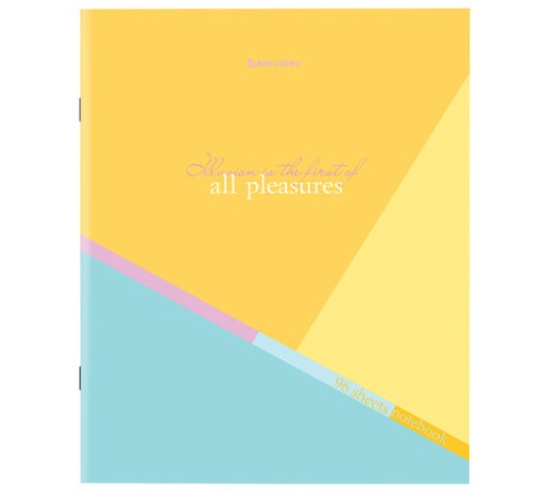 Тетрадь А5 96 л. BRAUBERG скоба, клетка, обложка картон, 