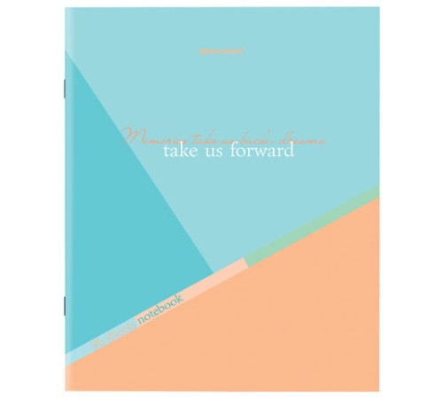 Тетрадь А5 96 л. BRAUBERG скоба, клетка, обложка картон, 