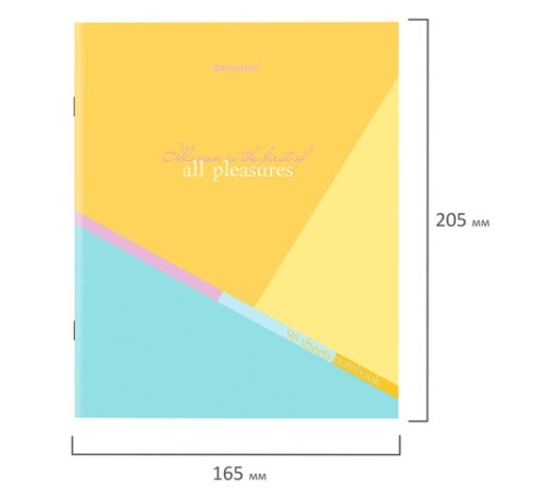 Тетрадь А5 96 л. BRAUBERG скоба, клетка, обложка картон, 