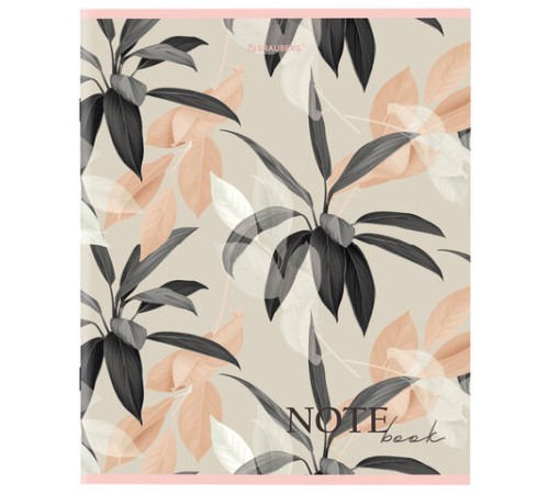 Тетрадь А5 96 л. BRAUBERG скоба, клетка, обложка картон, 