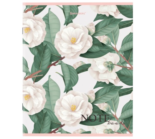 Тетрадь А5 96 л. BRAUBERG скоба, клетка, обложка картон, 